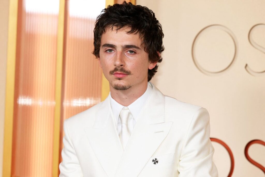 Timothee Chalamet Net Worth